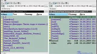 Перенос Moodle 1.9.х с локалки на сервер (с сервера на сервер)