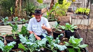 Garden in December? No Problem at Deep South Texas