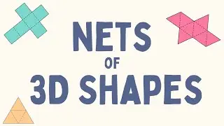 Nets of 3D Shapes