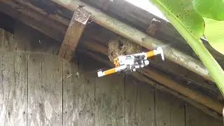 dron sjrc rusak sarang tawon