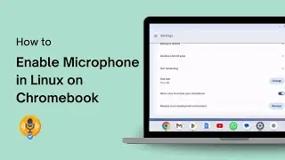 How to Enable Microphone in Linux on Chromebook