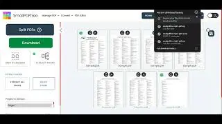 Split All PDF Pages or Split Desired PDF Pages | SmallPDF