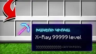 ՍԱ ԱՄԵՆԱ ԱՆԹՈՒՅԼԱՏՐԵԼԻ ԻՐՆ Է MINECRAFT-ՈՒՄ!? Arm Zone Minecraft Hayeren