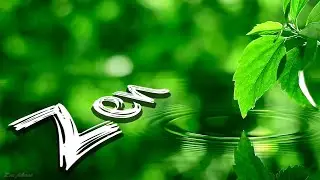 Soothing Relaxing Piano Music ☘️ Water Ripple Effect & Green Leaf, Sleeping Music, Meditation Music