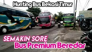 Hunting Bus Bekasi Timur || Semakin Sore Semakin Ramai Banyak Bus Premium Beredar Di Sini