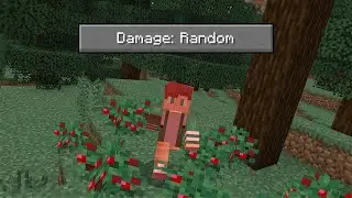 Minecraft, but Damage is Randomized