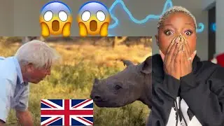 Reaction To David Attenborough for the First Time - Top 10 Moments