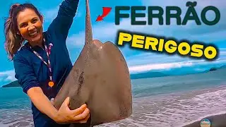 A linha esticou forte nessa PESCA de PRAIA - Dicas de surfcasting