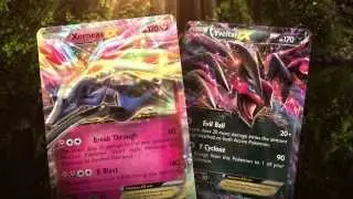 Pokémon TCG: XY Expansion