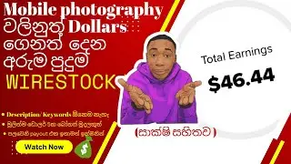 How to earn dollars with macro mobile stock photography | Stock photography tips and tricks