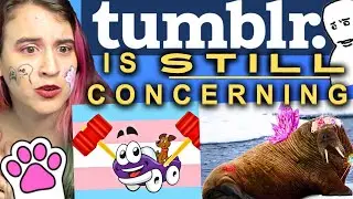 2024 TUMBLR MEME REVIEW (chaos site losing its charm? or best year yet?)