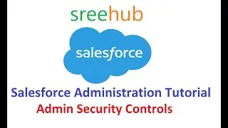 17 Salesforce Administration - Admin Security Controls