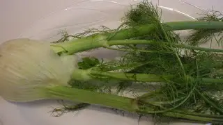 Fennel 101 - Tips and Ideas For Using Fennel