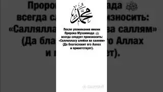 Дэрс Мухьэммэд бегъымбарым Саллаллаху алейхи ва саллям игъащ1эр къызэрек1уэк1ам теухуауэ  21 часть