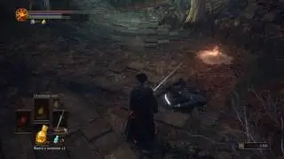 Dark Souls 3 - Падший рыцарь и разбойник