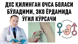 ДХС - ИЖК ОЧТИРСА БОЛАЛИ БЎЛАДИМИ, ДХС ҚАНДАЙ УСУЛЛАРИ БОР,  ЭКО ЁРДАМИДА ЎҒИЛ КЎРСАЧИ / ИСЧАНОВ