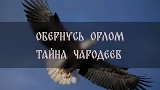 ОБЕРНУСЬ ОРЛОМ. ТАЙНА ЧАРОДЕЕВ. ДЛЯ ВСЕХ ▴ ВЕДЬМИНА ИЗБА. ИНГА ХОСРОЕВА