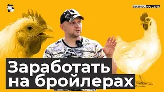 Оставил автобизнес и уехал в село. Как заработать 200 тысяч в месяц на бройлерах?