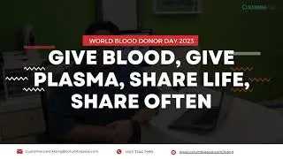 What Happens to Donated Blood?