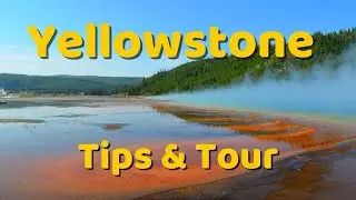 Yellowstone National Park Tour, Favorites & Tips