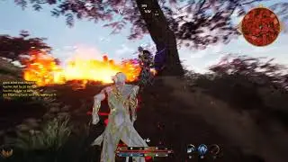 Ashes of Creation CZaSK - Apocalypse Alpha Gameplay