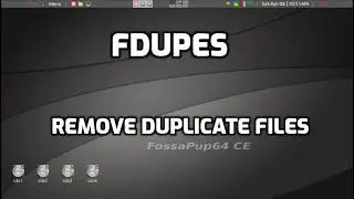 fdupes in puppylinux, delete duplicate files