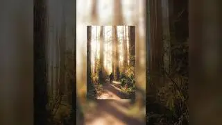 how to make your photos have a DREAMY HAZE! 