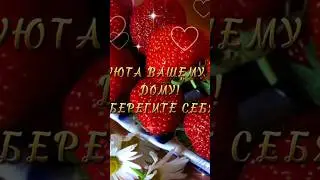 Хорошего дня #музыкальныеоткрытки #сдобрымутром