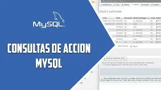 SQL – Consultas de acción – Video 20