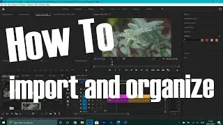 Importing And Organizing Footage In Premiere Pro