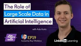 How Large Scale Data and Artificial Intelligence Work