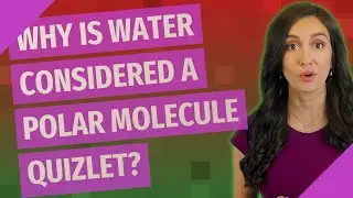 Why is water considered a polar molecule quizlet?