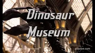 Dinosaur Museum