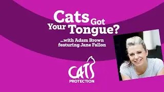 Cats Got Your Tongue? podcast with Jane Fallon 🐱🎙️ Tales of a greedy cat