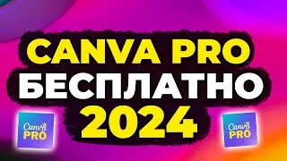 Как получить Canva Pro БЕСПЛАТНО | 2024 | КАНВА ПРО