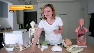Jak działa mózg? Warsztaty dla dzieci 