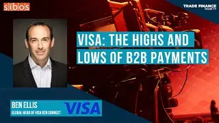 Visa: the highs and lows of B2B payments