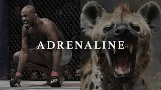 ADRENALINE - Best Motivational Speeches