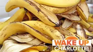 Dont throw away banana peels. They can help you lose weight!