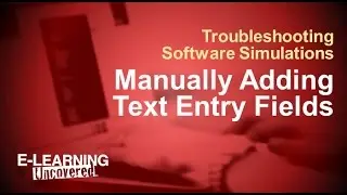 Troubleshooting Software Simulations: Manually Adding Text Entry Fields