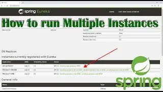 How to run multiple instances of the same application in Spring Boot(Microservices Tutorials)