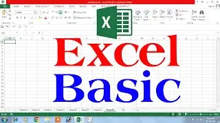 excel | microsoft excel | excel tutorial | excel basics  | basic excel | ms excel | learn excel