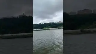 Закон притяжения 🩷