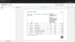 How to Use the Paragraph and Pattern Selectors in pdf2Data