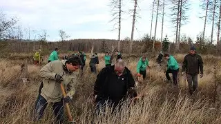 Wir forsten auf! | Unsere Baumpflanzaktion in Wernigerode.