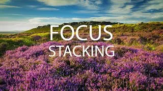 FOCUS STACKING MADE SIMPLE - How and when to use it