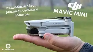 DJI Mavic Mini: подробный обзор нового дрона и приложения DJI FLY