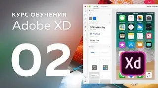 Уроки Adobe XD / № 02 | Основные инструменты