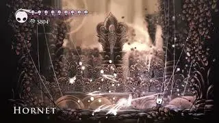 Beating Hornet until Hollow Knight: Silksong comes out.Day 984.