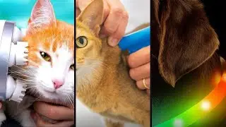 Top 10 Smart Pet Gadgets for Every Pet